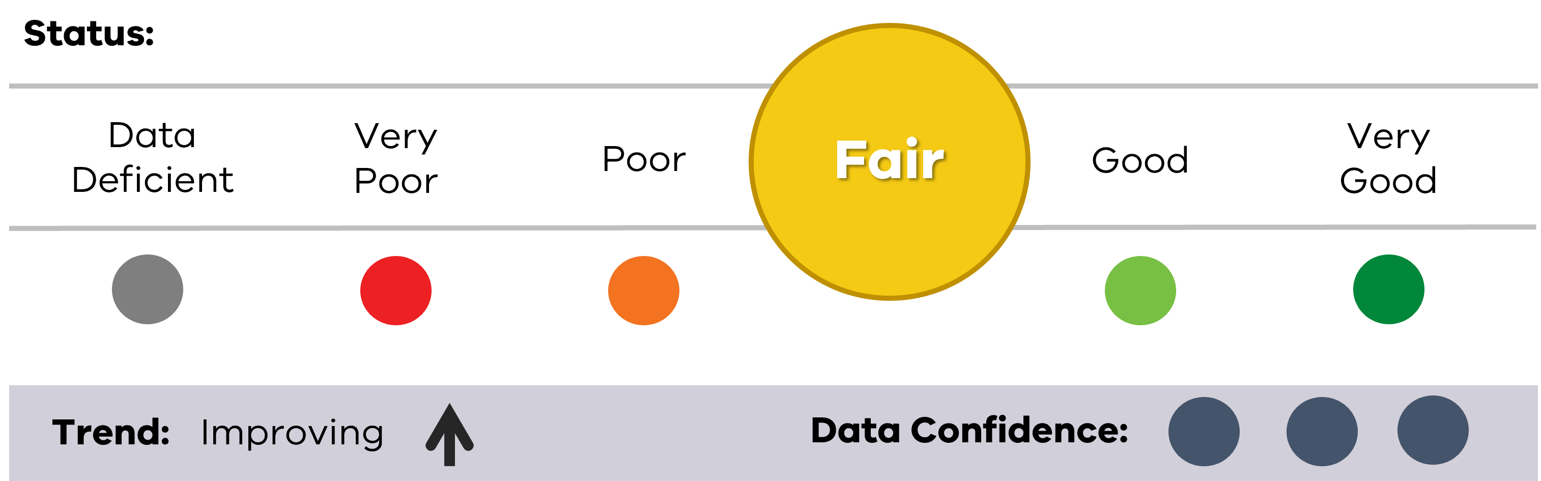 Image of status for Snapper, showing Fair result, Improving trend and High data confidence.