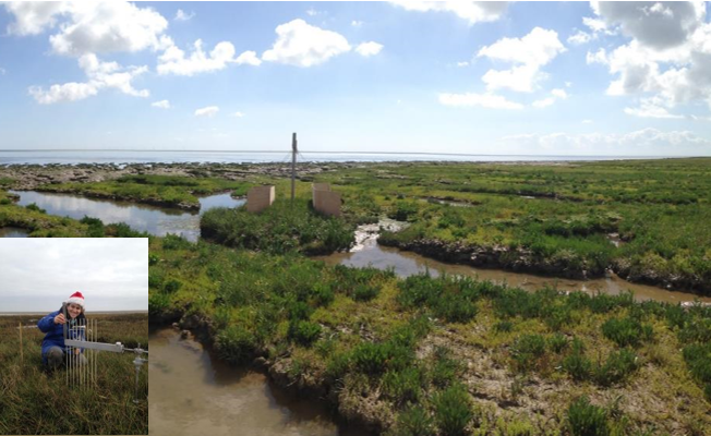 Improving coastal erosion assessments of large embayments